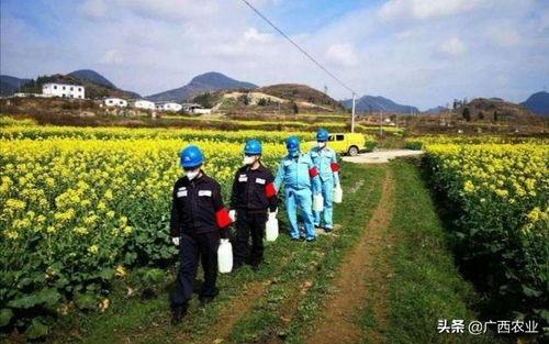 国产三级乡下,国产三级电影的乡村画卷